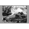 Flamethrower Attacks Japanese PHOTO US Marines World War 2, Battle