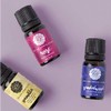 Woolzies Essential Oils Set - 100% Pure, Therapeutic Grade for