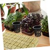 BESPORTBLE 1 Set Hydroponic Planting Kit Self Watering Grow Baskets
