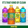 Pine-Sol All Purpose Multi-Surface Cleaner, Original Pine, 60 Ounces Each