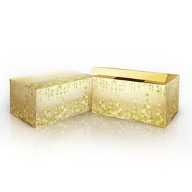 Linelglobal Christmas Gift Box with Lid for Kid Women Men 8.6" - Gold Green