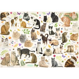 Jumbo Spiele 18595 Katzen Poster - 1000 Teile Puzzle
