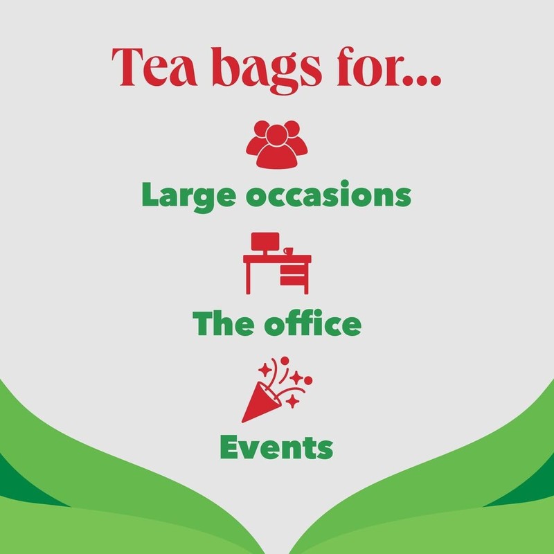 PG Tips | Green Tea Bags Bulk | Individually Wrapped