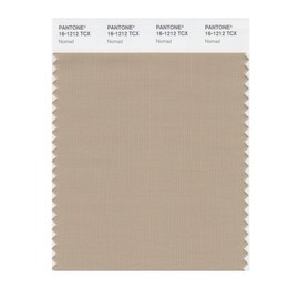 PANTONE Smart 16-1212X Color Swatch Card, Nomad