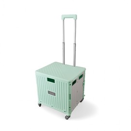 Large Foldable Shopping Cart & Utility Hand Cart Mint