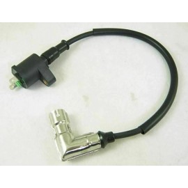 TAOTAO IGNITION COIL METAL HEAD + SPARK PLUG TAOTAO COOLSTER 110cc 125cc ATV GO-KART