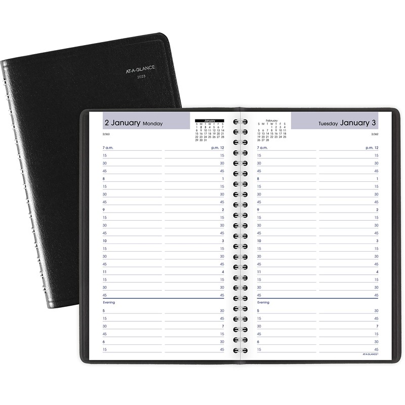 AT-A-GLANCE DayMinder 2023 Daily Appointment Book Planner, January - December,