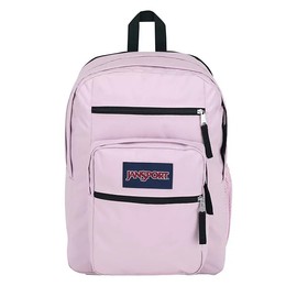 JanSport Laptop Backpack - Computer Bag with 2 Compartments, Ergonomic Shoulder Straps, 15” Laptop Sleeve, Haul Handle - Pink Ice