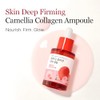 ROUND LAB Camellia Deep Collagen Firming Ampoule 1.01 Fl Oz,