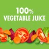 V8 Low Sodium Original 100% Vegetable Juice, 5.5 fl oz