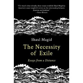 The Necessity of Exile: Essays from a Distance