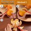 ZEACCT 10 Pieces Orange Peeler Set, Round Orange Peeler, Plastic