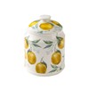 WAIT FLY Ceramic Tea Caddy Tea Canister Large Capacity Food