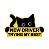 3Pcs New Driver Car Magnet Sticker Set, Funny Cute Cat