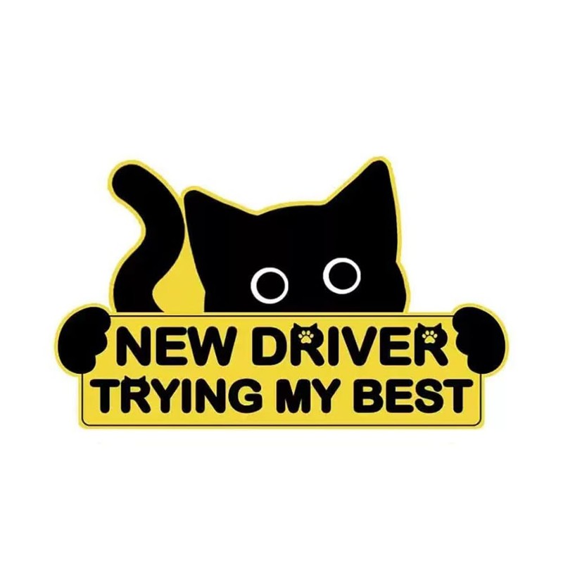 3Pcs New Driver Car Magnet Sticker Set, Funny Cute Cat