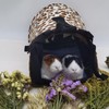 Leopard Print Small Animal Hideout - Tunnel and Tube Cage