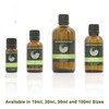 Clove Bud Essential Aromatherapy Oil (30ml)