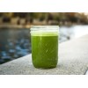 Vertea Co. Matcha Orgánico Ceremonial Vertea 100 G En Frasco