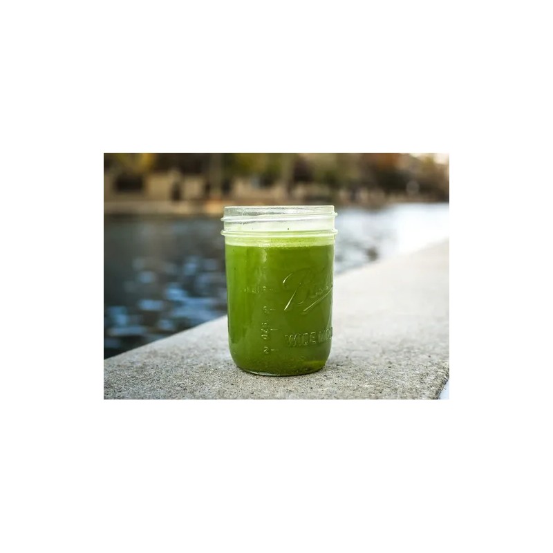 Vertea Co. Matcha Orgánico Ceremonial Vertea 100 G En Frasco