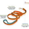 DowgClub Leather Dog Leash 6ft X ¾ Inch, Tan Braided