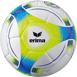 ERIMA Hybrid Lite 290