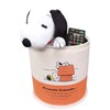 Snoopy & Friends SN71 Dust Box