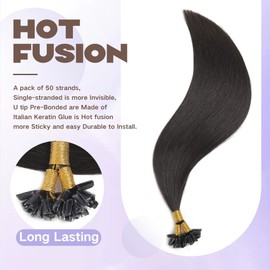 Sindra Hair Extensions U Tips Extensions Human Hair Color #1B Natural Black Straight Human Hair Pre Bonded U Tip Extensions 0.8g/strand 14inch 40g U Tip Fusion Hair Extensions for Women (U1B-14)