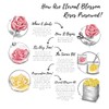 Eternal Blossom Preserved Real Infinity Rose Makeup Box | Lasts