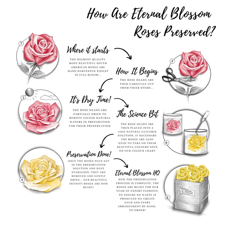 Eternal Blossom Preserved Real Infinity Rose Makeup Box | Lasts