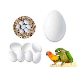 8 PCS Solid Parrot Plastic Eggs/Trick The Birds to Stop Laying Eggs/Suit for Green Cheek, Lorikeet&Ringneck Dove, Quaker, Cockatiel(0.96 * 0.7in/24 * 18mm)