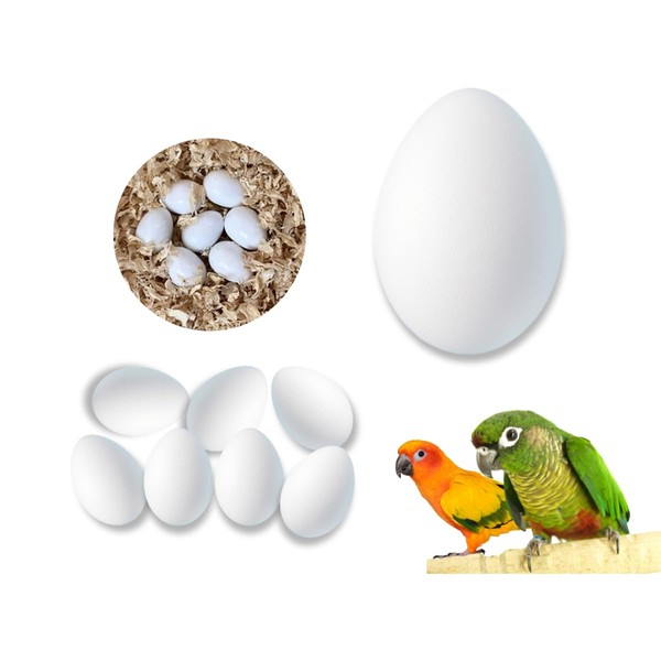 8 PCS Solid Parrot Plastic Eggs/Trick The Birds to Stop