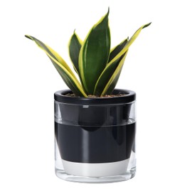 D'vine Dev 6 Inch Design Self Watering Planter for Indoor Plants, Black Terracotta Pot with Cylinder Glass Cup, Set of 1, 37-Z-B-1