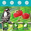4 x 6 m Bird Protection Net, Tight Mesh, Pond