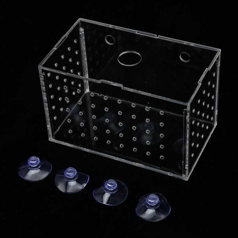 Fish Breeder Box High Transparency Acrylic Hatchery Incubator Tank with