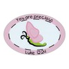 Refrigerator Magnet - You Are Precious (Luke 12:24) - Bible