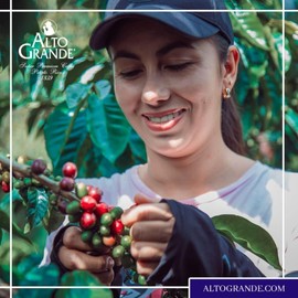 Alto Grande Super Premium Capsules for Nespresso Machines, 100 Percent Arabica Coffee From Puerto Rico (Grand Lares, 144 Count)