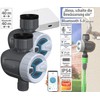 Royal Gardineer Irrigation control: 2 smart programmable irrigation computers with