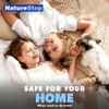 Ant Repellent Spray for Indoor Use, Ant Deterrent with Long-Lasting