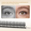 Lunamoon Ready-Made Fan Eyelashes, Ready-Made Fan Eyelashes, Volume Premade Fans