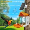 Bird Feeder with Camera with Solar Panel, Smart Bird Feeder