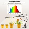 bseah Plant Grow Light for Indoor Plants, Full Spectrum Indoor