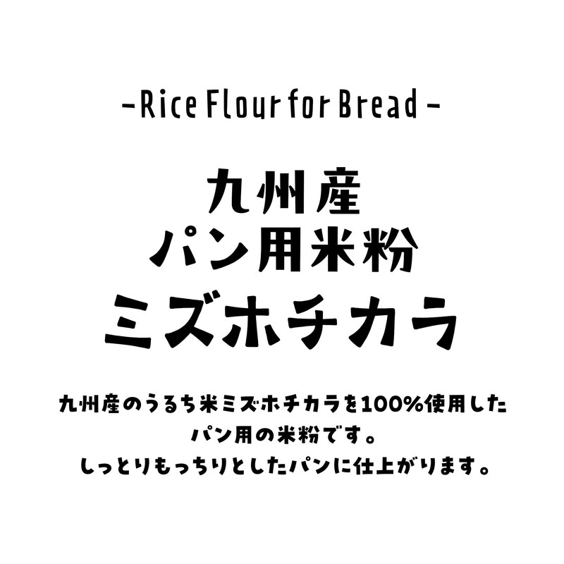 Petitpa Mizuhochikara Kyushu Bread Rice Flour 17.6 oz (500 g)