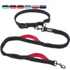 VIVAGLORY Hands Free Dog Leash Bungeetwin Running Dog Leash with