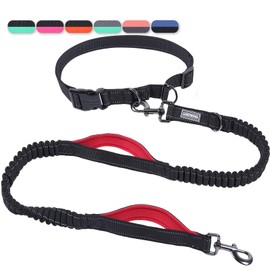 VIVAGLORY Hands Free Dog Leash Bungeetwin Running Dog Leash with Waist Belt for Running Walking & Jogging, Bungee & Around Waist for Pet, S, Black/Red