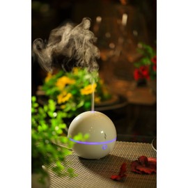 SPT USB Ultrasonic Aroma Diffuser/Humidifier, Multi