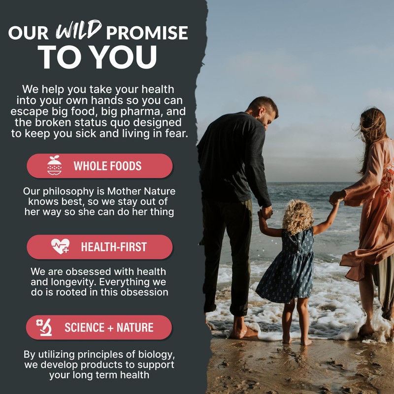 Wild Foods Creatine & Elctrolyte Powder