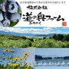 Black Bean Tea Bag 0.2 oz (5 g) x 30