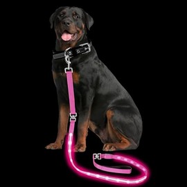 PetIsay Light up Dog Leash for Night Walking - USB C Rechargeable - Waterproof - Dog Leash with Flashlight - LED Leash for Dogs - 6Ft, Pink