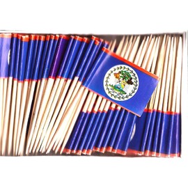 Belize Mini Country Toothpick Flags, 100 Small International Mini Flag Cupcake Toothpicks or Cocktail Sticks & Picks (Belize, 1 Box of 100-100 Total Toothpicks)