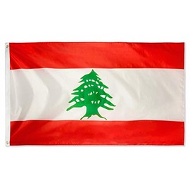 DANF Lebanon Flag 3x5 Foot Lebanese National Banner